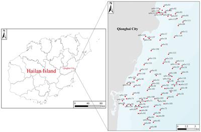 Spatial distribution characteristics, ecological risk assessment, and source analysis of heavy metal(loid)s in surface sediments of the nearshore area of Qionghai